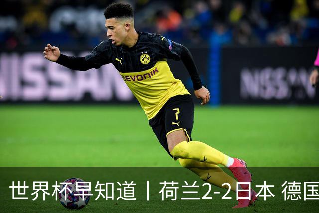 世界杯早知道丨荷兰2-2日本 德国7-1大胜库拉索